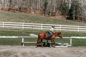 Les détails à savoir sur la course de galop