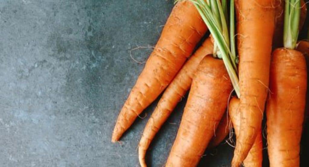 Pourquoi fautil manger une carotte au tout début de votre repas