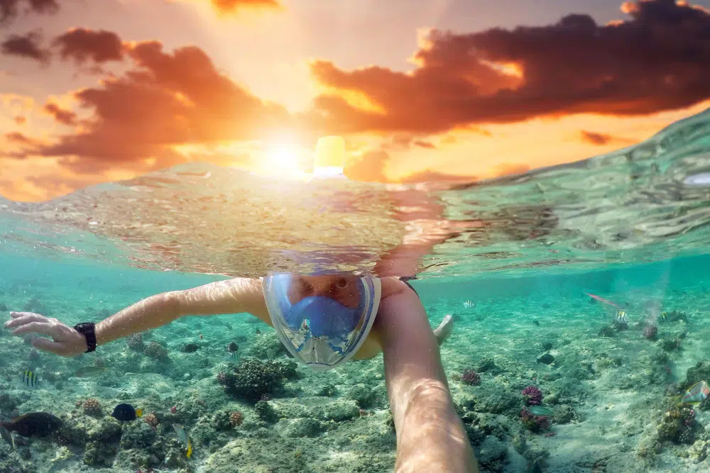 Il fait de la plongée sous marine