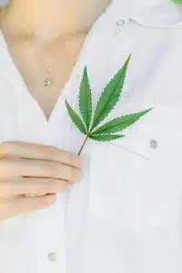 Test positif au CBD : tout savoir sur les résultats et les implications légales