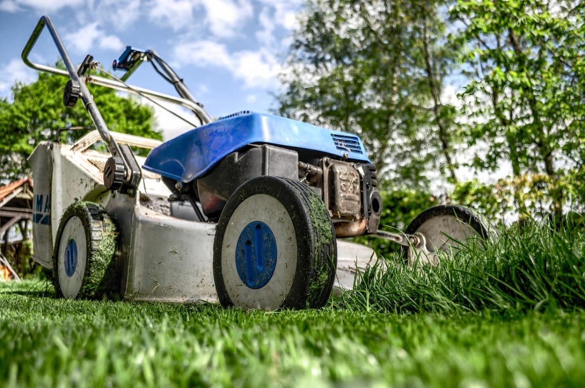 Jardinage : Ne partez pas en vacances avant d'avoir réalisé ces 5 tâches obligatoires