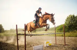 5 faits pour prouver que l’équitation est bel et bien un sport.