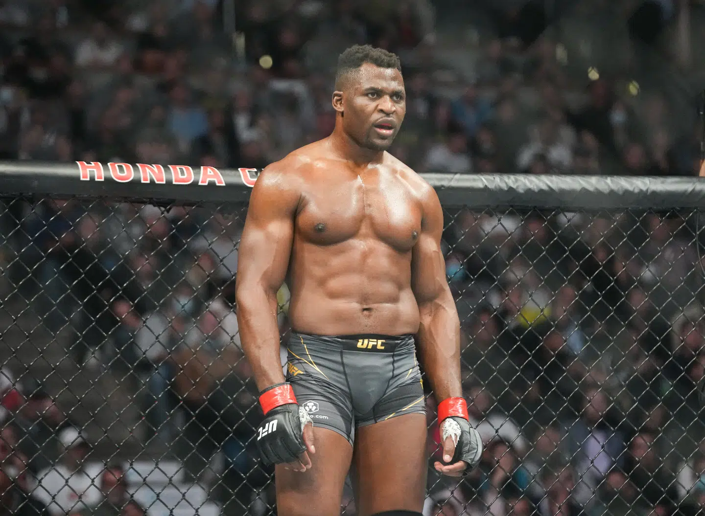 Une légende de l'UFC prédit des défis pour Francis : le retour d'Ngannou en MMA va faire des vagues