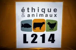 L214 exige une halte à l’abattage rituel des viandes halal et casher pour stopper la cruauté envers les animaux.