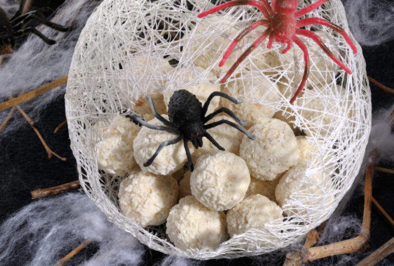 Tout savoir sur les cocons d'araignées — free download