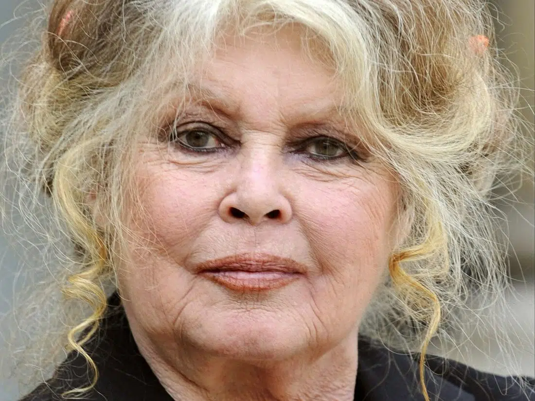 Portrait de Brigitte Bardot à un âge avancé, regard sérieux, cheveux relevés.