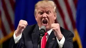 Donald Trump lors d’une prise de parole sur fond de crise autour du détroit d’Ormuz