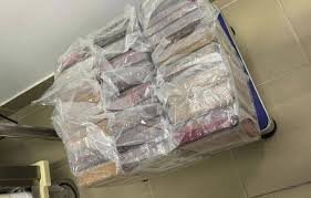 Plusieurs pains de cocaïne emballés sous plastique après une saisie réalisée par les autorités françaises.